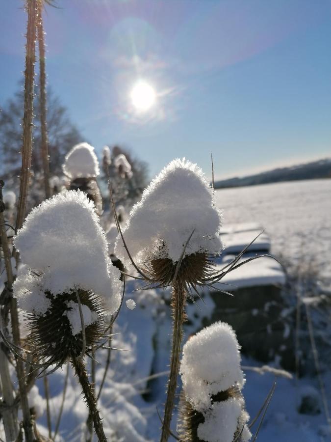 Landgasthof Plohnbachtal Ug Lengenfeld (Saxony)